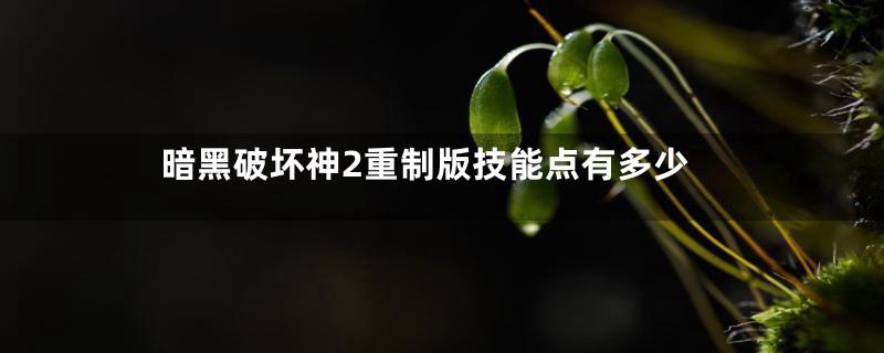 暗黑破坏神2重制版技能点有多少