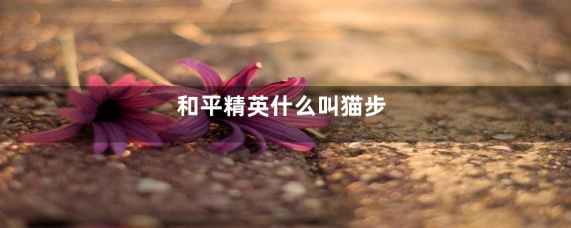 和平精英什么叫猫步