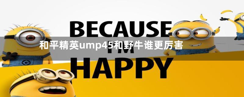 和平精英ump45和野牛谁更厉害