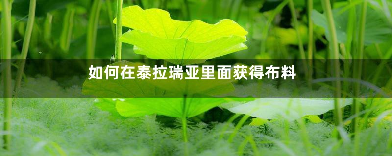 如何在泰拉瑞亚里面获得布料