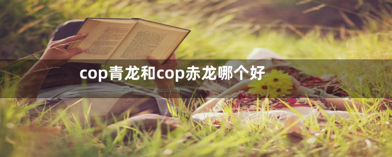 cop青龙和cop赤龙哪个好