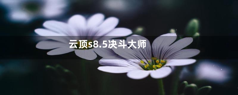 云顶s8.5决斗大师