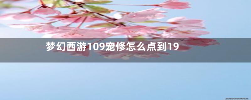 梦幻西游109宠修怎么点到19