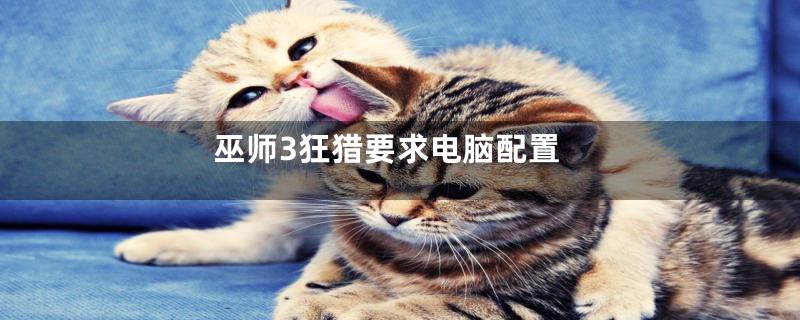 巫师3狂猎要求电脑配置