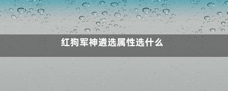 红狗军神遴选属性选什么