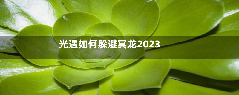 光遇如何躲避冥龙2023