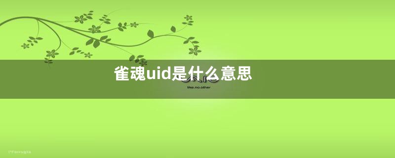 雀魂uid是什么意思