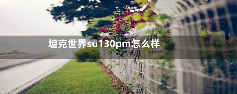 坦克世界su130pm怎么样