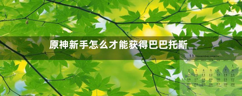 原神新手怎么才能获得巴巴托斯