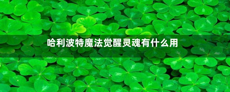 哈利波特魔法觉醒灵魂有什么用