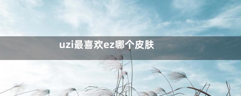 uzi最喜欢ez哪个皮肤