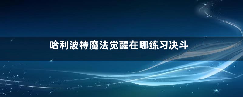 哈利波特魔法觉醒在哪练习决斗