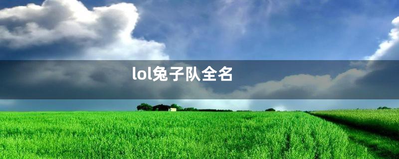 lol兔子队全名