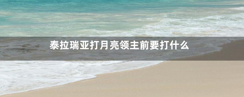 泰拉瑞亚打月亮领主前要打什么