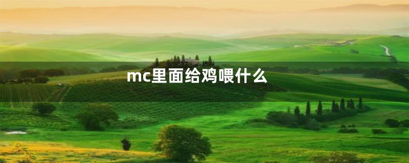 mc里面给鸡喂什么