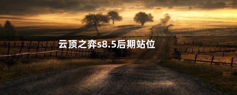 云顶之弈s8.5后期站位