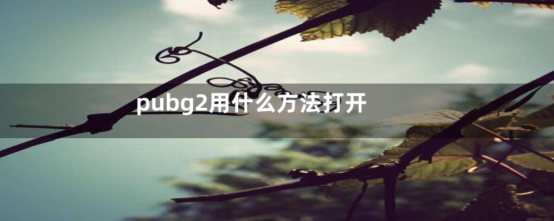 pubg2用什么方法打开