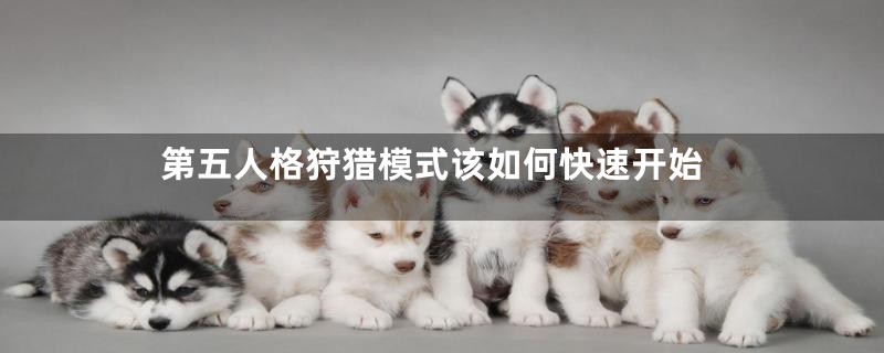 第五人格狩猎模式该如何快速开始