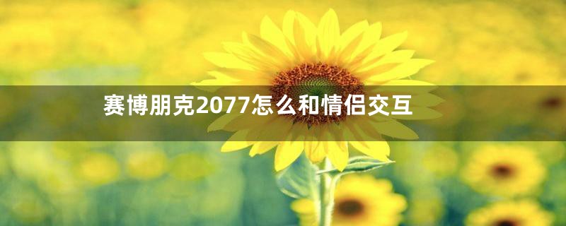 赛博朋克2077怎么和情侣交互