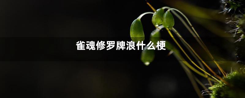 雀魂修罗牌浪什么梗