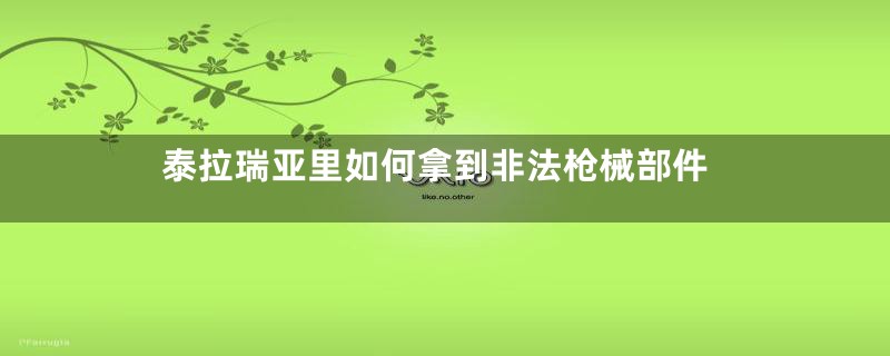 泰拉瑞亚里如何拿到非法枪械部件