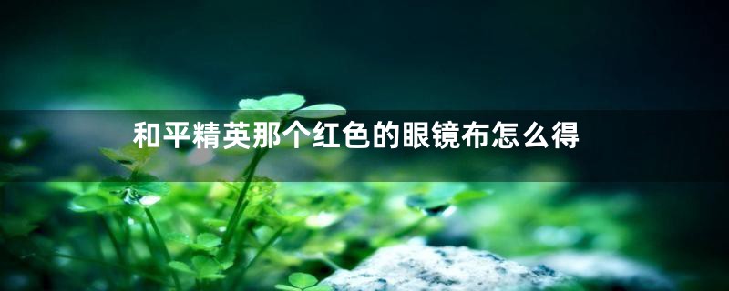 和平精英那个红色的眼镜布怎么得