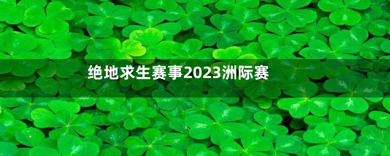 绝地求生赛事2023洲际赛