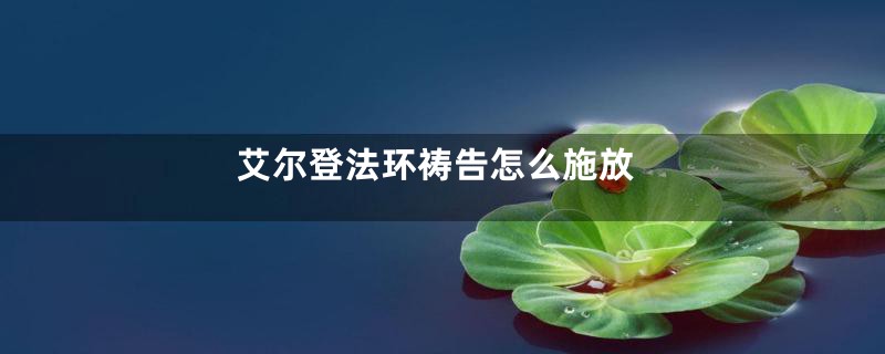 艾尔登法环祷告怎么施放