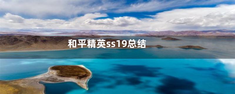 和平精英ss19总结