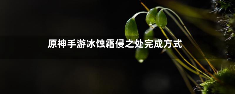 原神手游冰蚀霜侵之处完成方式