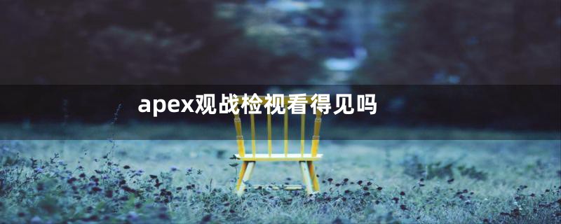 apex观战检视看得见吗