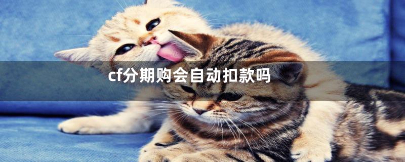 cf分期购会自动扣款吗