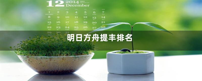 明日方舟提丰排名