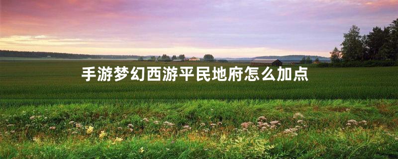 手游梦幻西游平民地府怎么加点