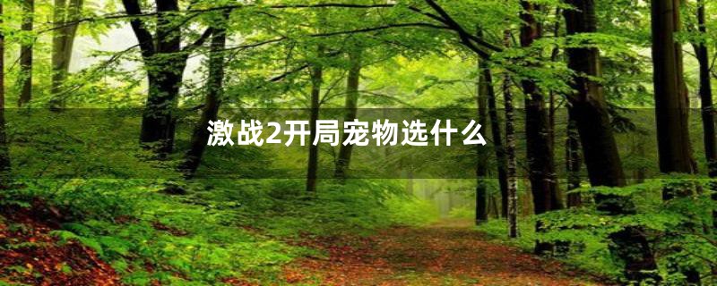 激战2开局宠物选什么