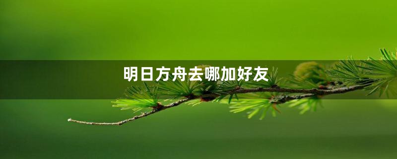 明日方舟去哪加好友