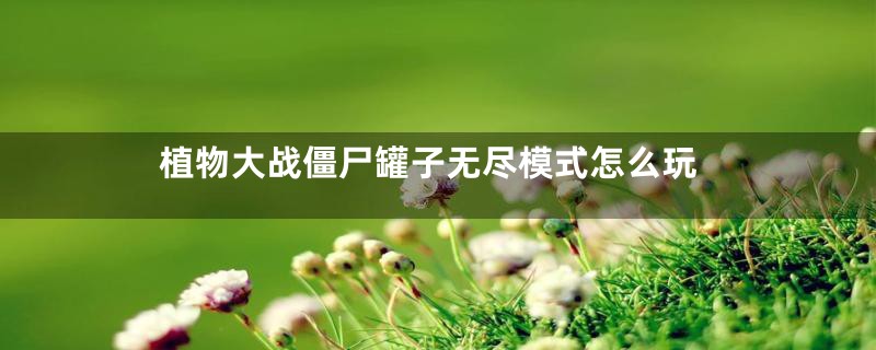 植物大战僵尸罐子无尽模式怎么玩