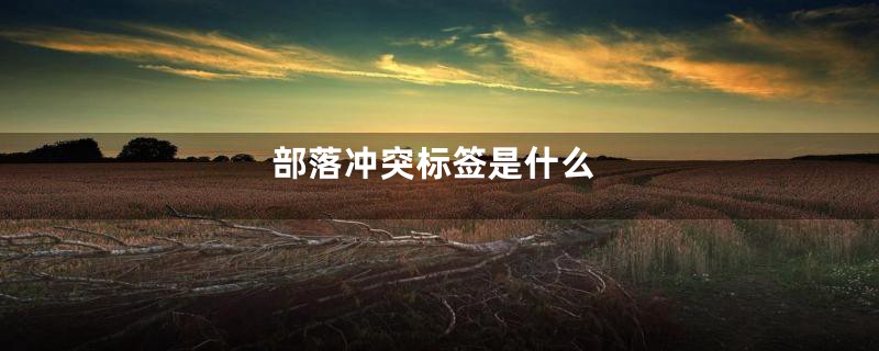 部落冲突标签是什么