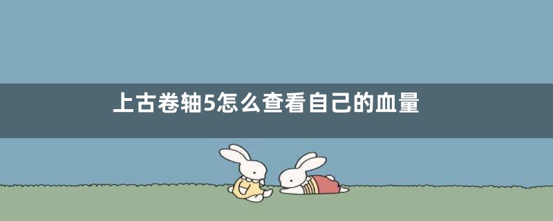 上古卷轴5怎么查看自己的血量