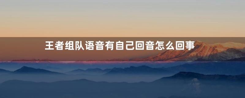 王者组队语音有自己回音怎么回事