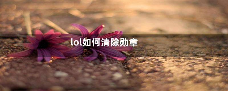 lol如何清除勋章