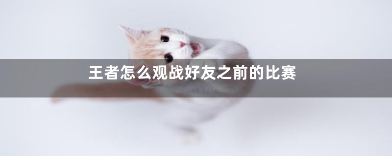 王者怎么观战好友之前的比赛