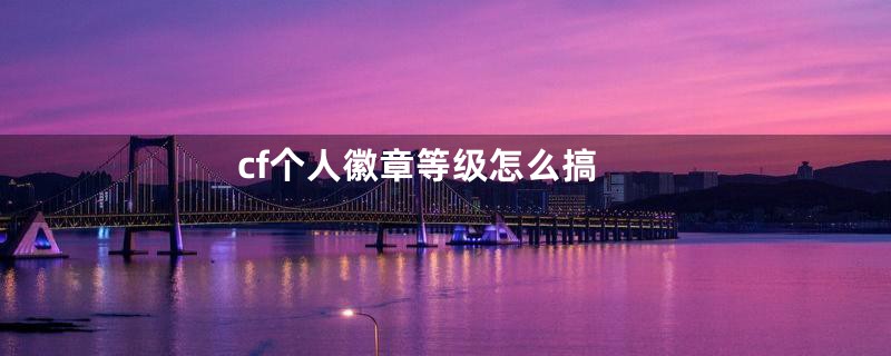 cf个人徽章等级怎么搞