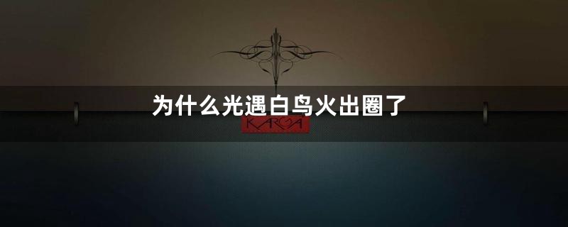 为什么光遇白鸟火出圈了