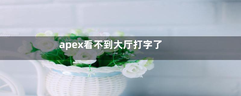 apex看不到大厅打字了