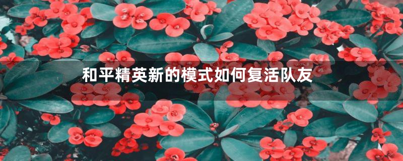 和平精英新的模式如何复活队友