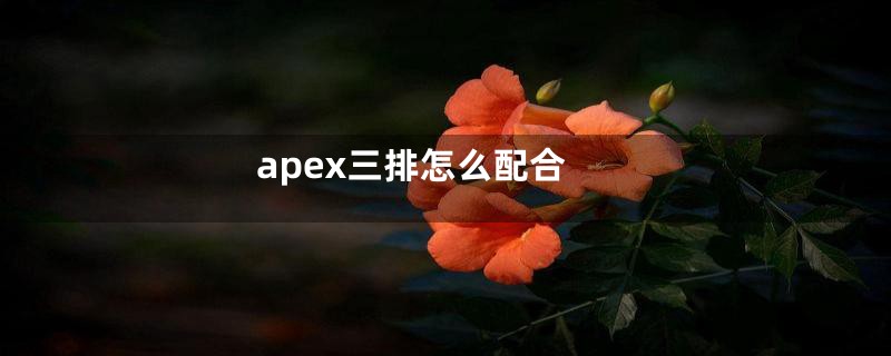 apex三排怎么配合