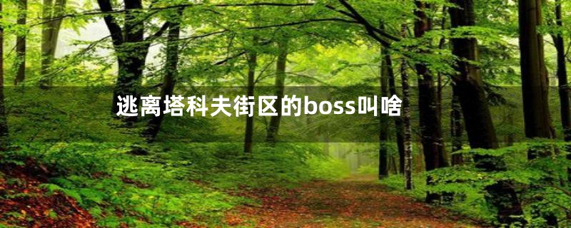 逃离塔科夫街区的boss叫啥