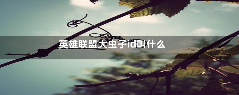 英雄联盟大虫子id叫什么