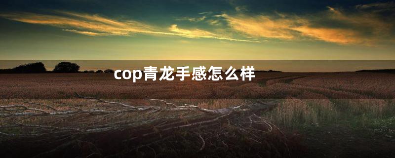 cop青龙手感怎么样